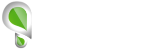 Rooted Interactive